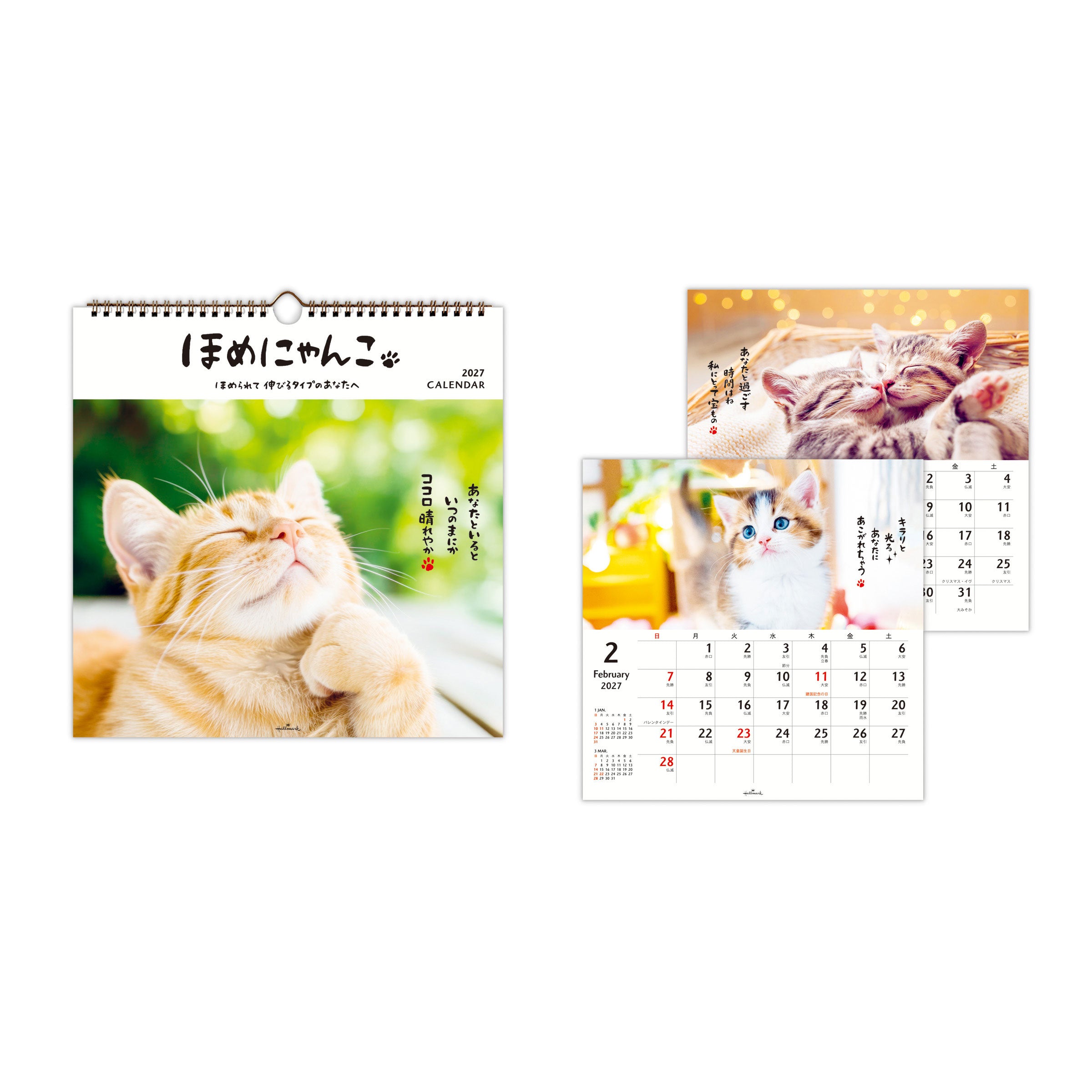ほめにゃんこ【壁掛け|リングカレンダー大 2027】